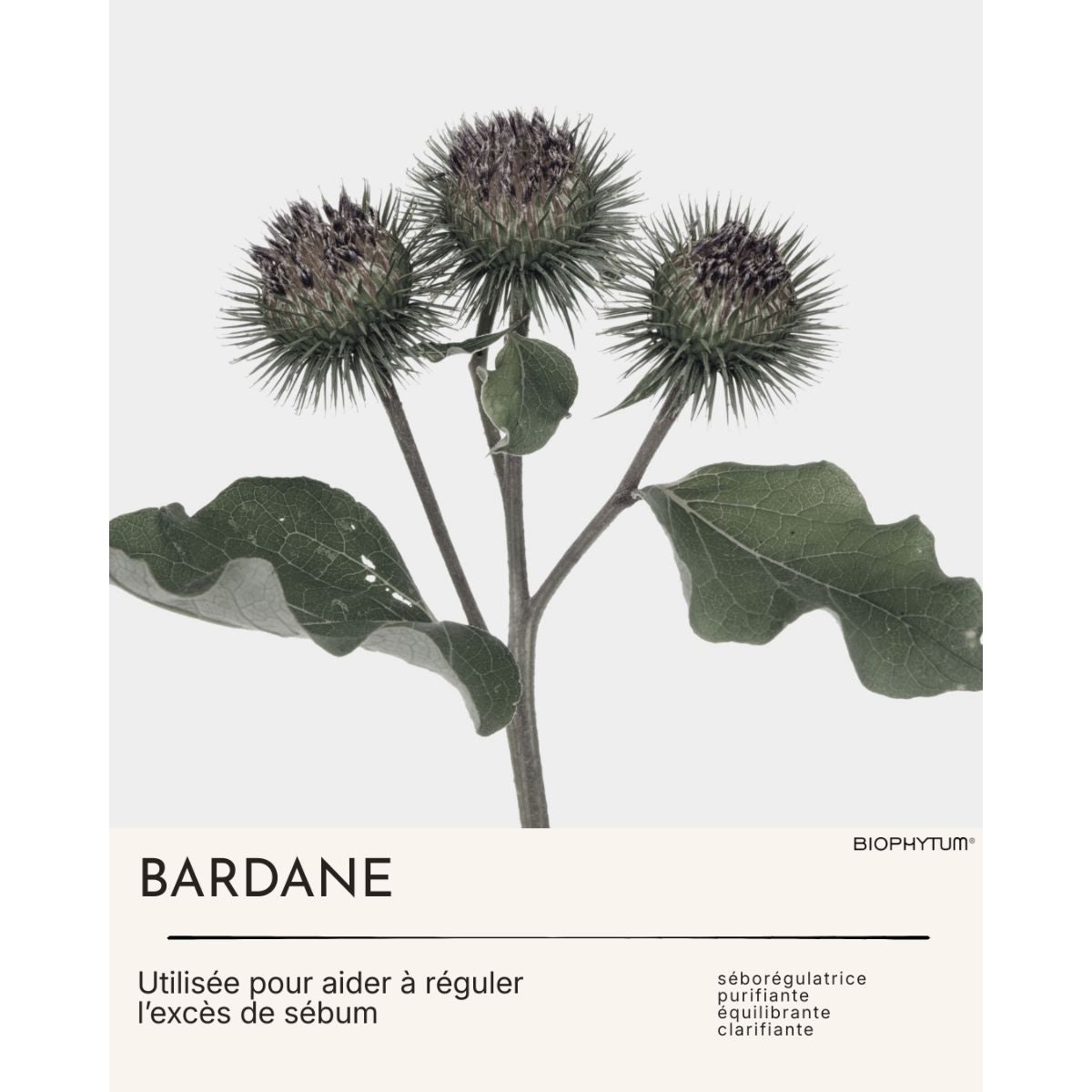 Le Coffret Découverte