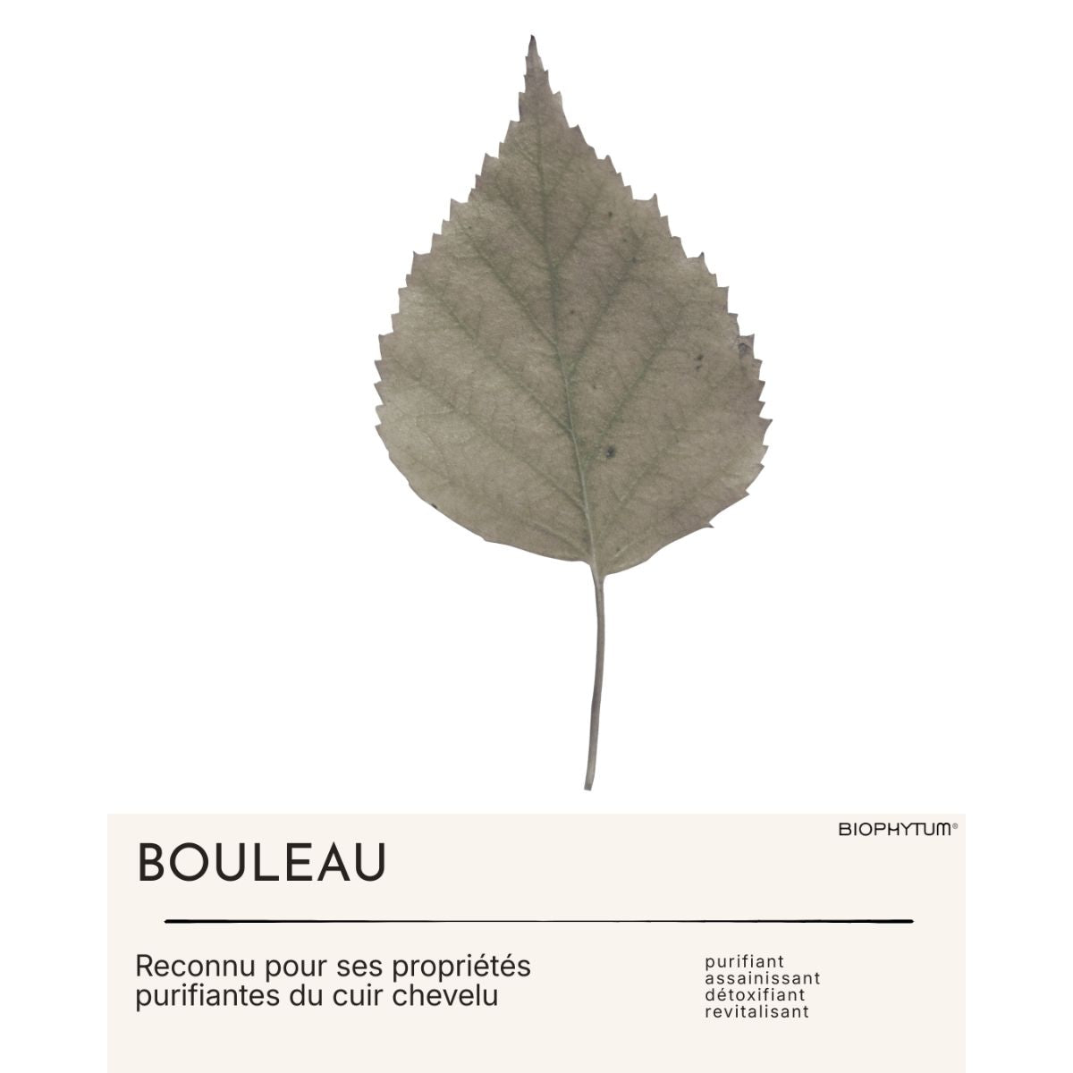 Le Coffret Découverte