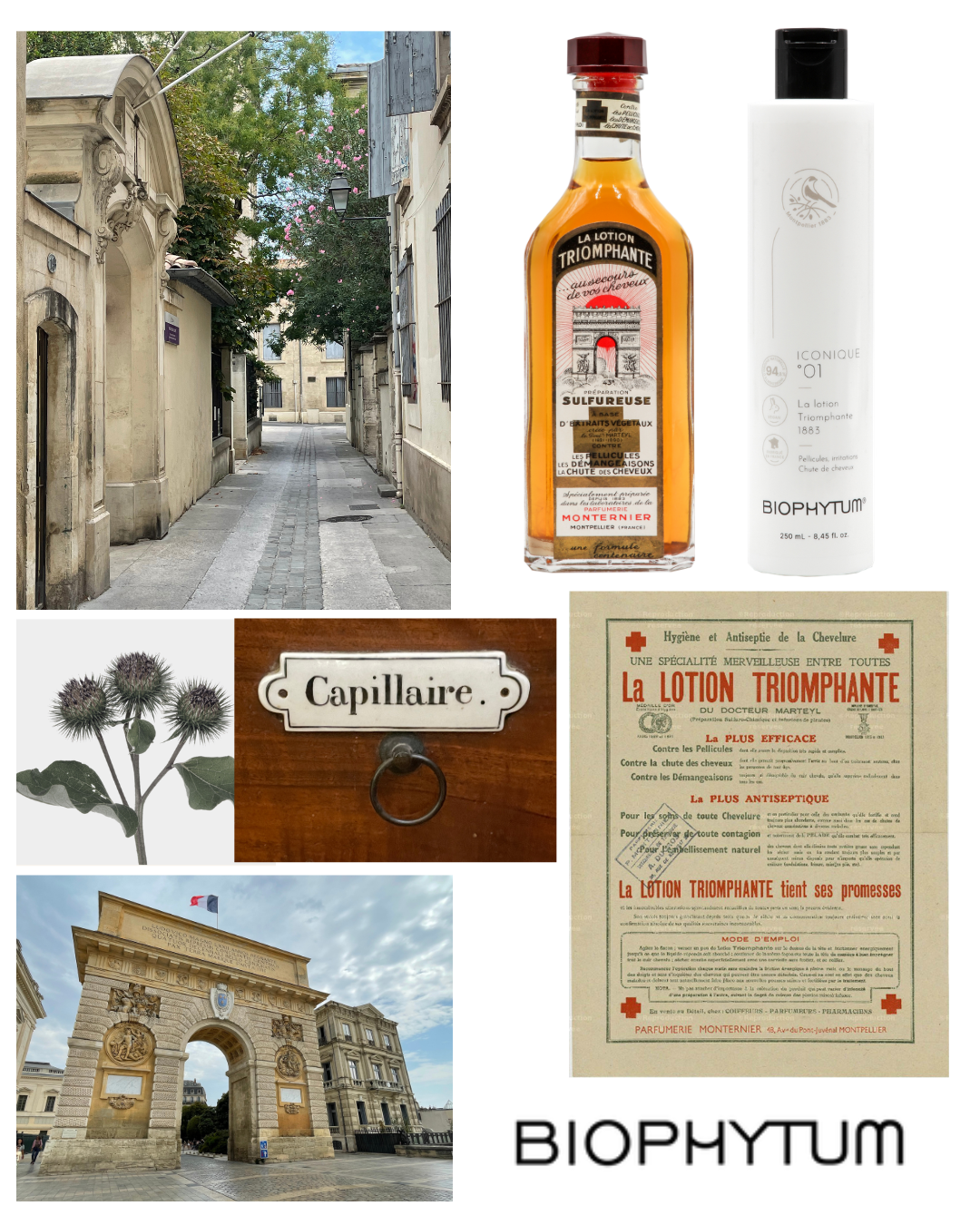 En 1883, à Montpellier, naît la Lotion Triomphante.